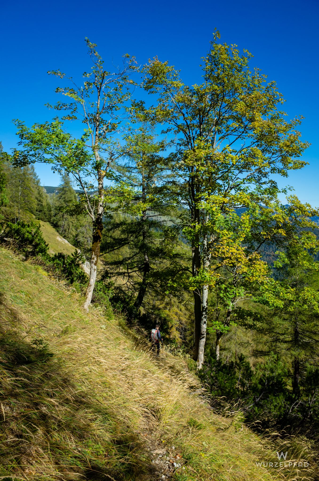 Einsame Wege nördlich der Krenspitze